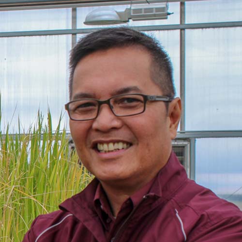Ed Redoña