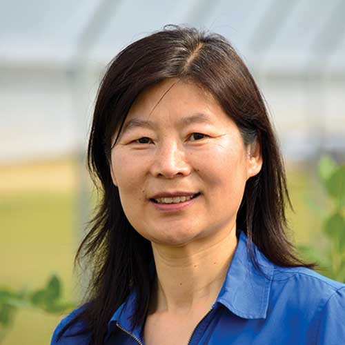 Guihong Bi
