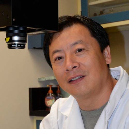 Haibo Yao