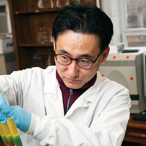 Taejo Kim