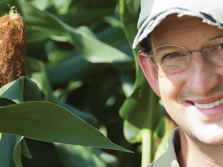 MSU researchers explore early <span>corn planting</span>