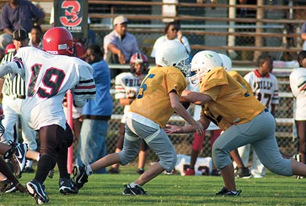 The study of woodpecker beaks could help in the design of better football helmets. (Photo by Karen Brasher)