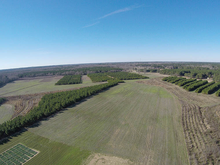 Coastal Plain Branch Experiment <span>Station</span>