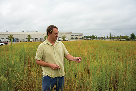 Dr. Tim Schauwecker examines the grasses and native plants in the Toyota meadows. Photo by David Ammon.