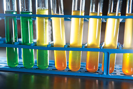 Test kits are stored in a portable incubator and results are available within 24 hours. Photo by Beth Wynn.