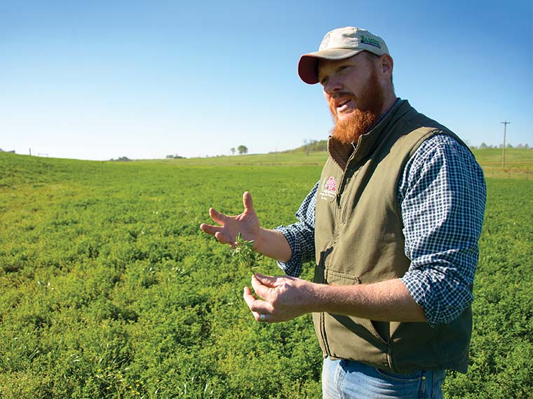 Forage variety trials at <span>MSU</span> - Summer 2016