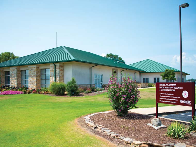 Northeast Mississippi Branch Experiment <span>Station</span>