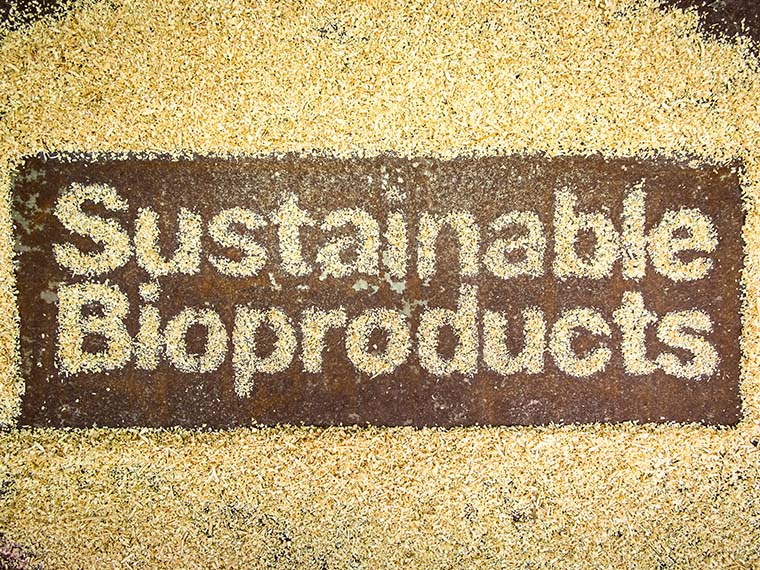 Department of Sustainable <span>Bioproducts</span> - Summer 2017