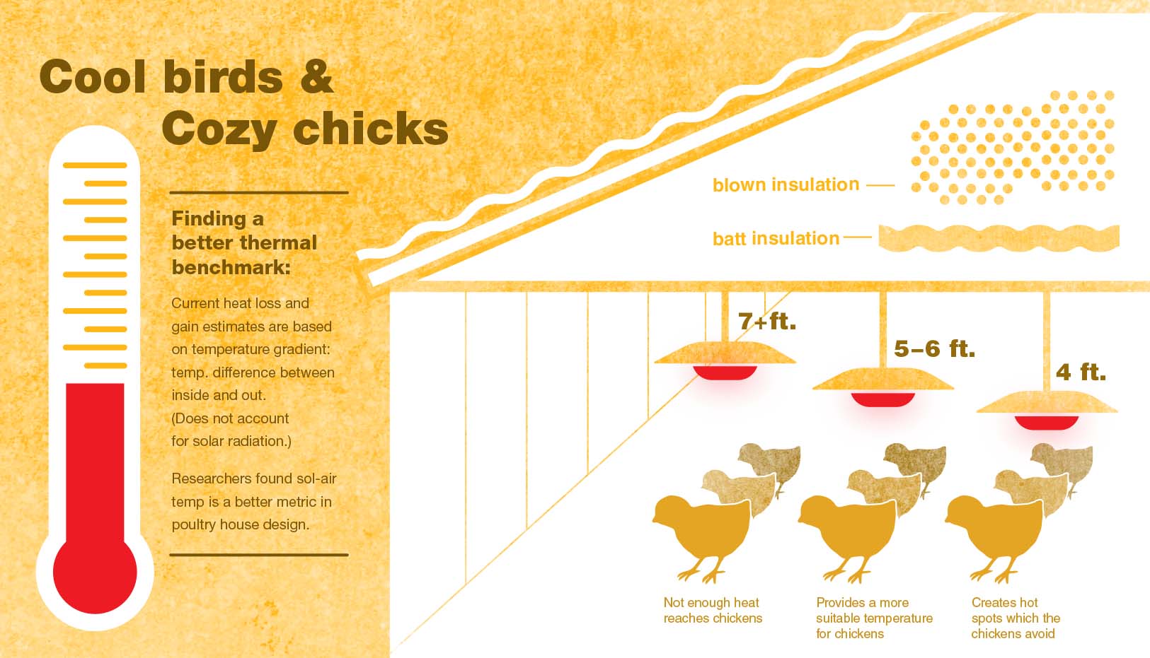 Cool Birds and Cozy Chicks Diagram