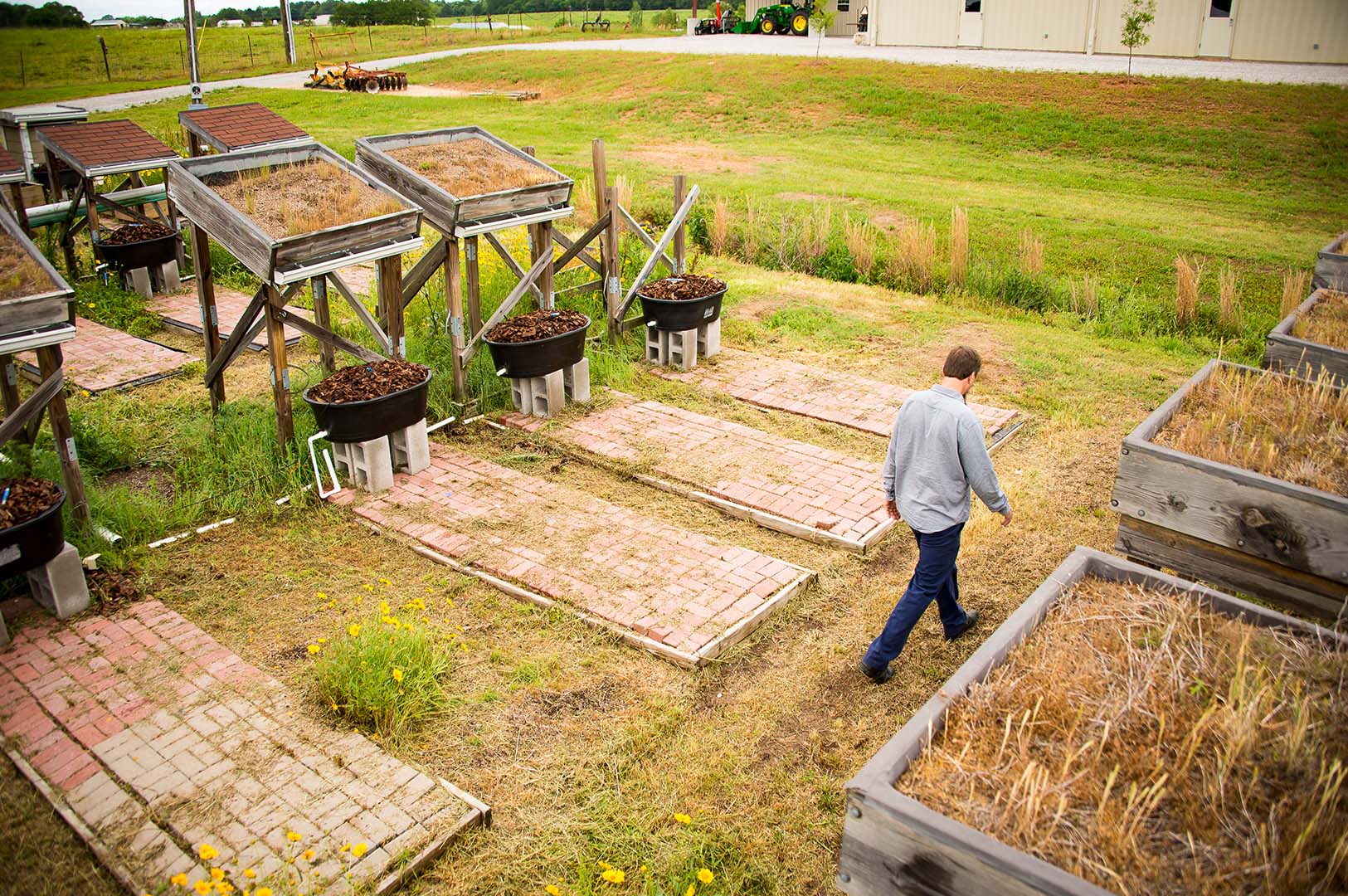 Dr. Tim Schauwecker walks between the green roofs at the H.H. Leveck Animal Research Center on the Mississippi State campus. (Photo by David Ammon)