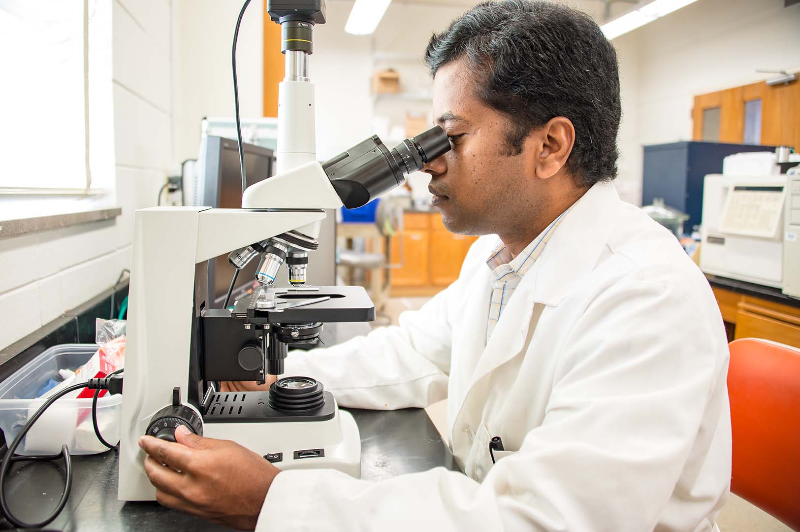 Dr. Shanker Shanmugam examines soil microbes in the Department of Plant and Soil Sciences