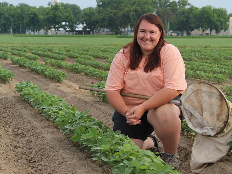 Keeping Soybean Loopers in check