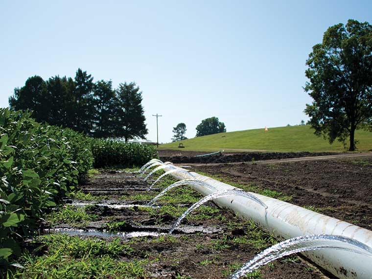 Mississippi Water Resources <span>Research</span> Institute - Summer 2019