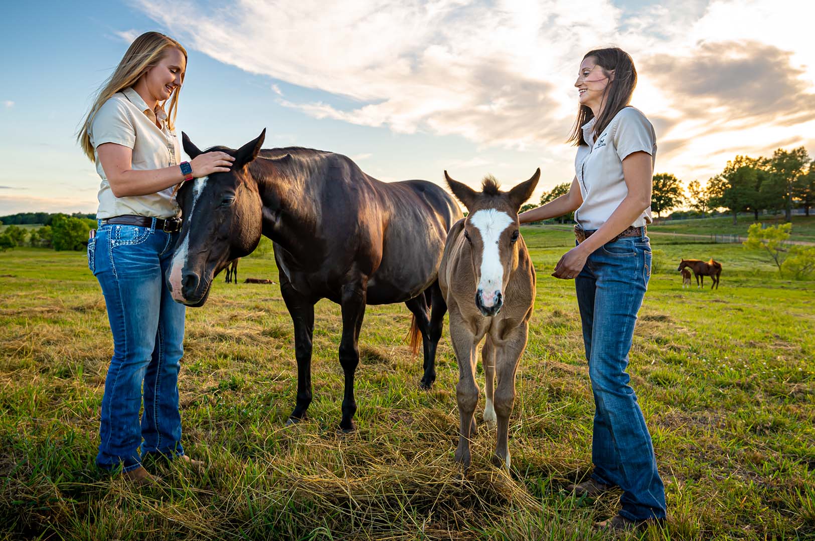 Hannah Valigura, left, agricultural technician, and Ashley Glenn, facilities supervisor, enjoy time in the field with horses at the Mississippi Agricultural and Forestry Experiment Station’s Equine Unit at MSU’s H. H. Leveck Animal Research Center. (Photo by David Ammon)
