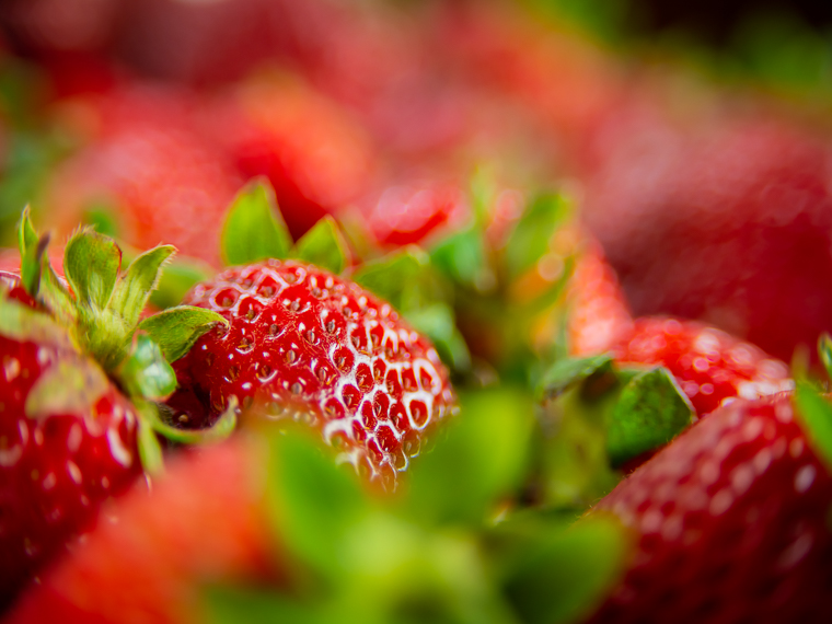 Strawberry Yields Forever