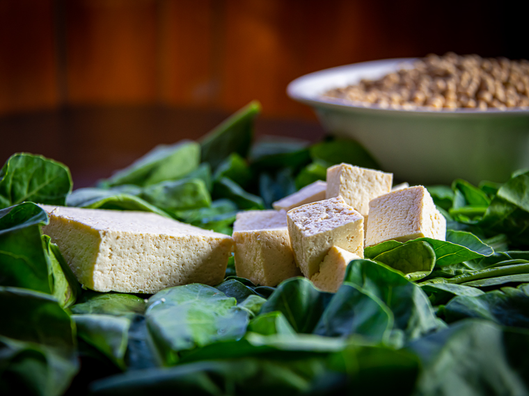 A  Versatile  Protein - Summer 2021