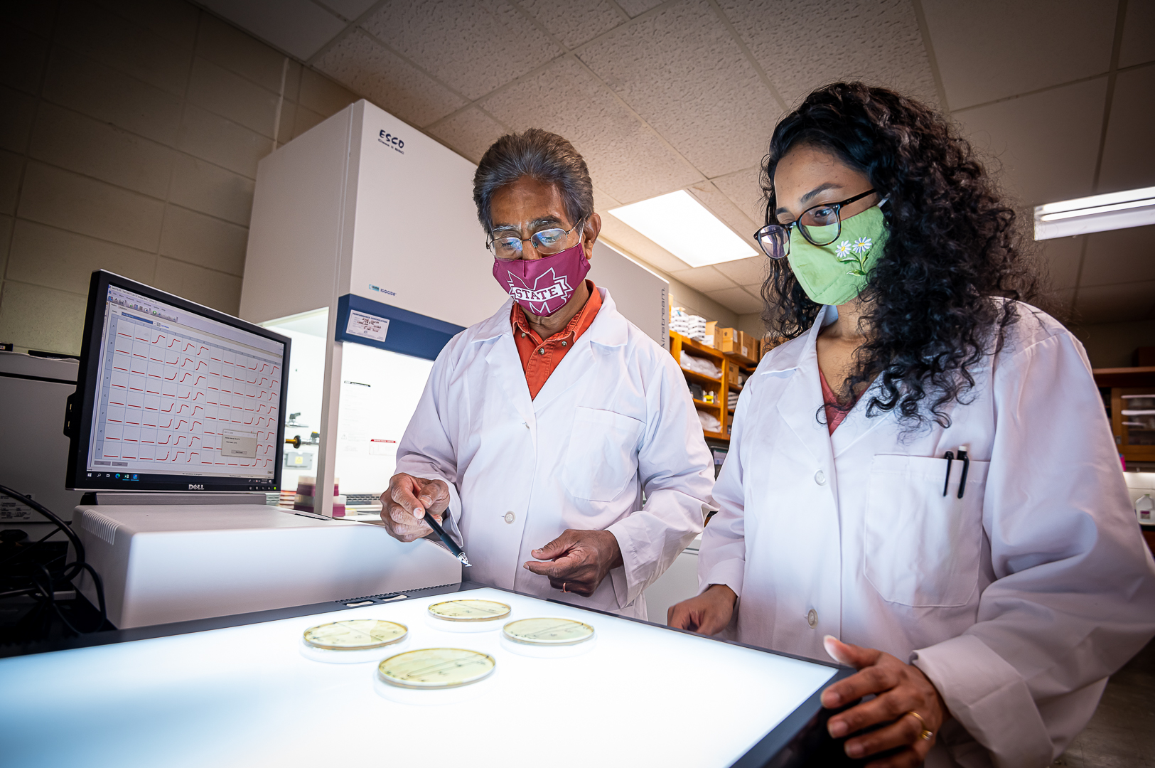 Drs. Ramakrishna Nannapaneni and Divya Kode observing the microbial persistence spots to determine biocide resistance in Listeria monocytogenes.  (Photo by David Ammon)