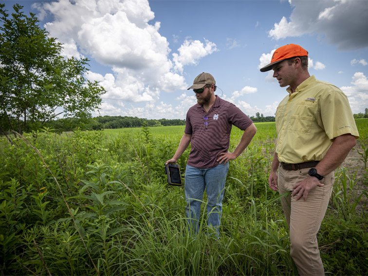 Conservation Cash