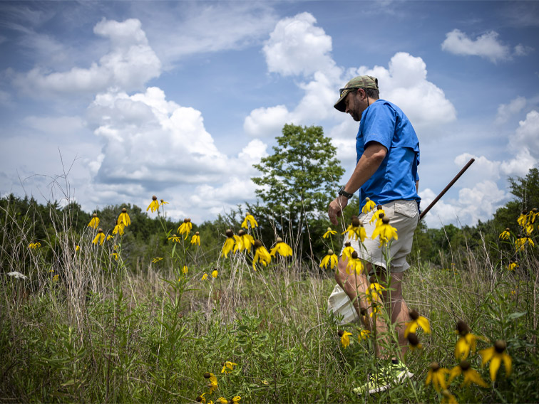 Open Spaces, Endless Possibilities