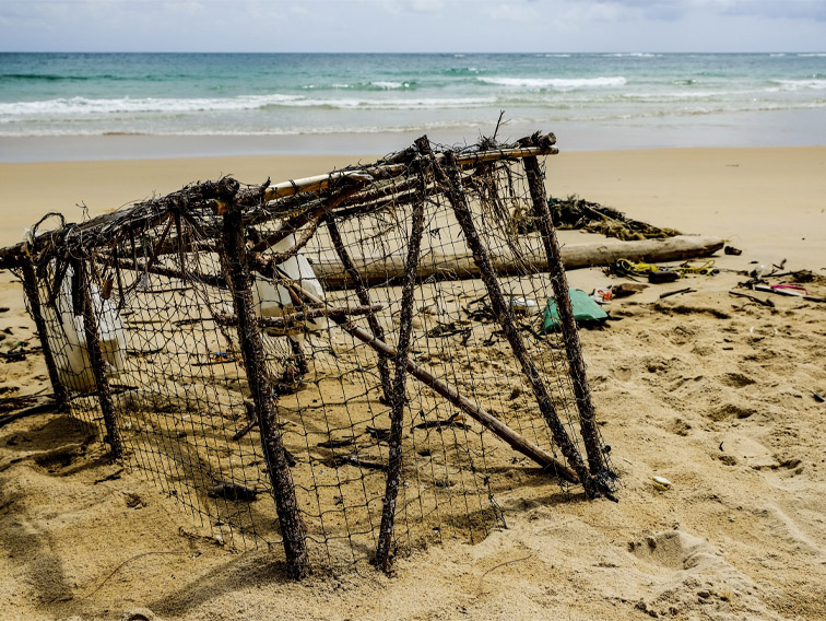 A Sea of Debris