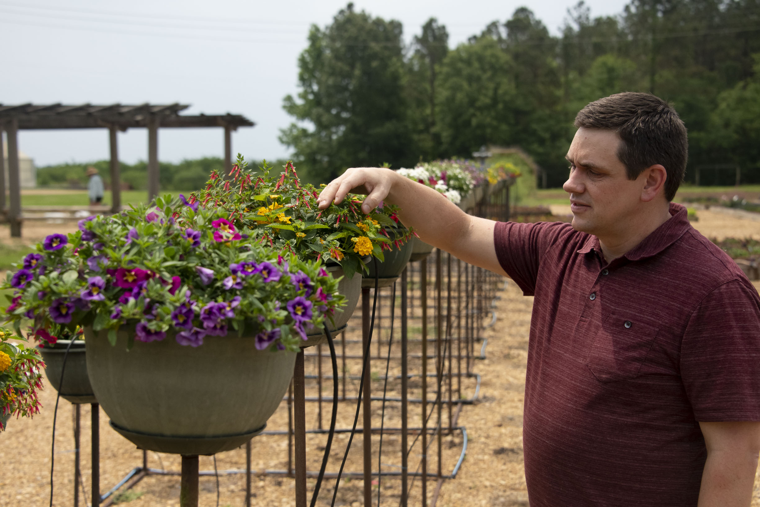 Shaun Broderick examines a row of planters at the MAFES Trucks Crops Branch Experiment Station. (Photo by Dominique Belcher)