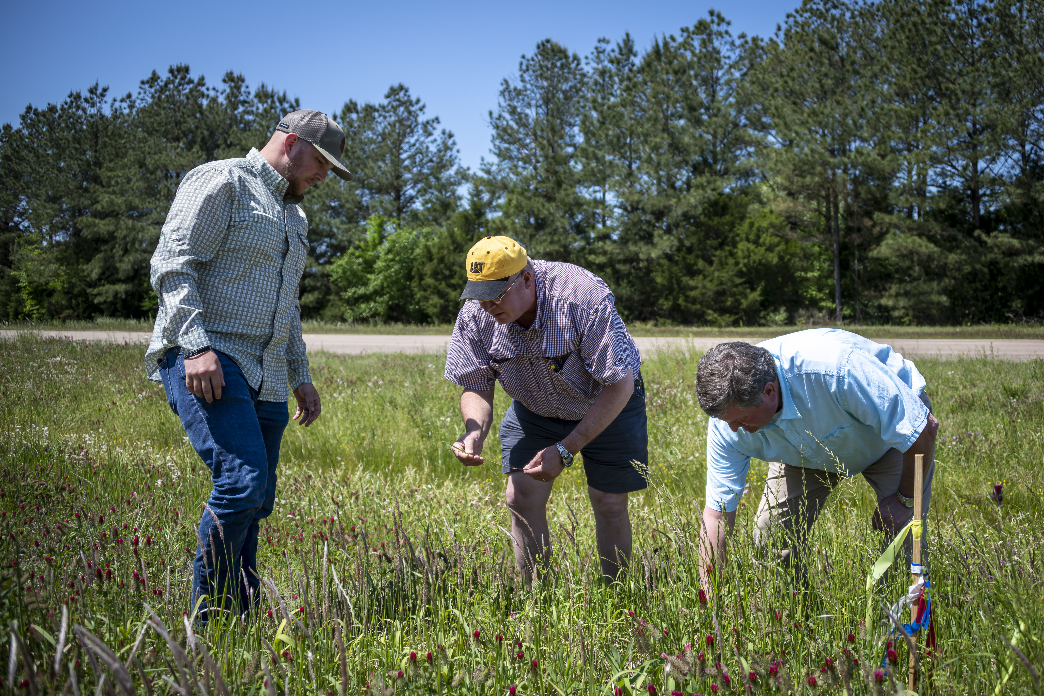 Chris Gregory, graduate student; Dr. John Byrd; and Johnnie Thorne, MDOT program specialist; look at problematic weeds in the right-of-way. (Photo by David Ammon)