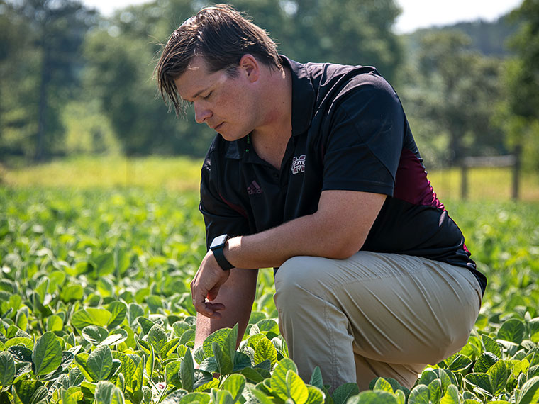 An Integrated Crop Livestock System