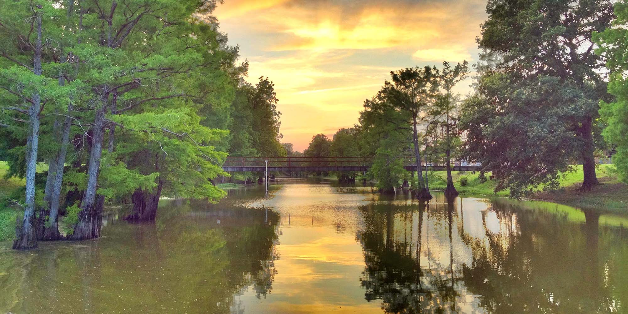 Pond-er This
