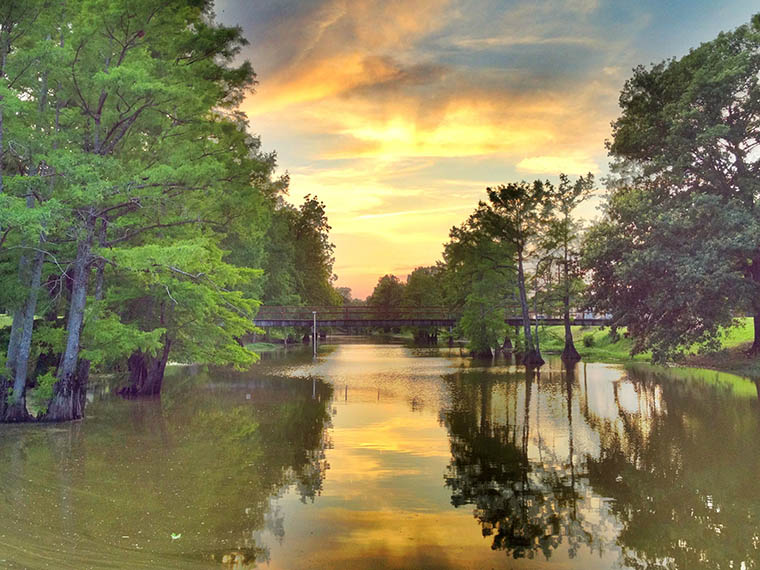 Pond-er This - Summer 2025
