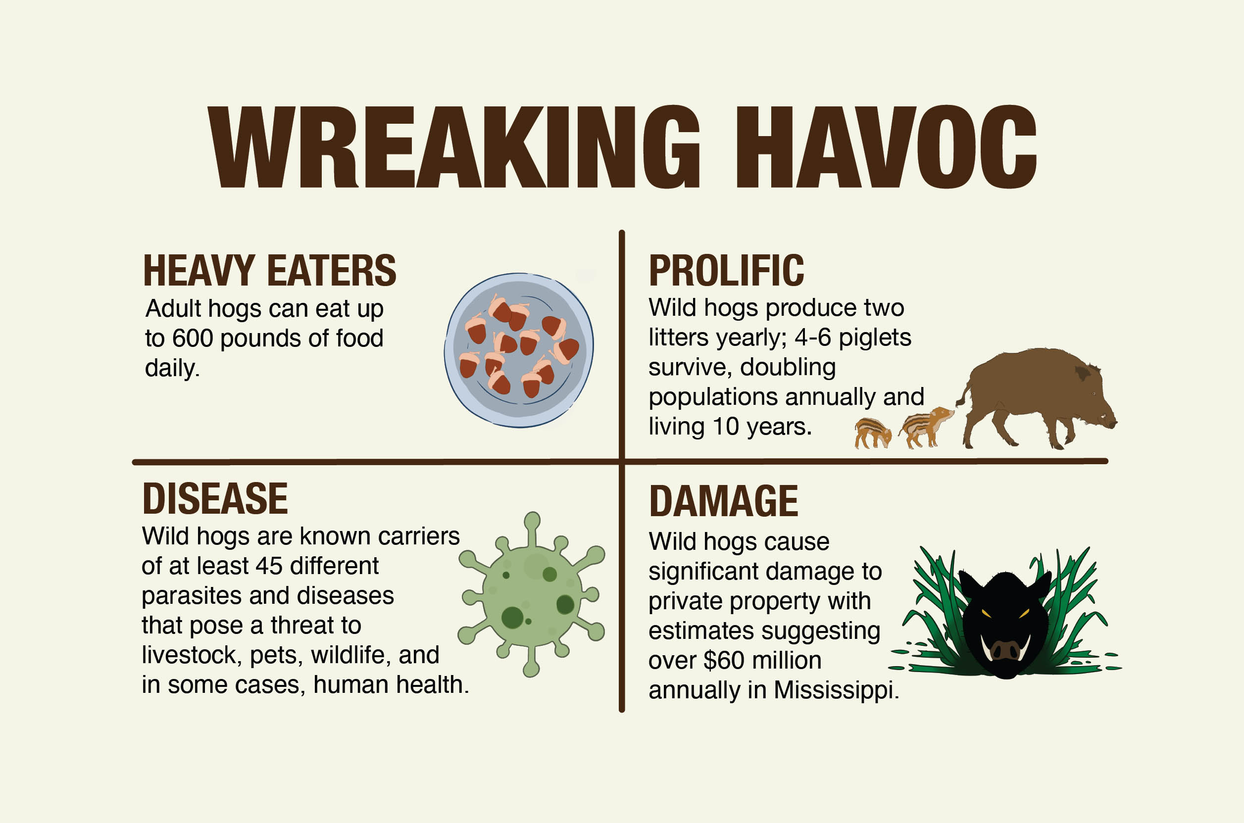 Infographic