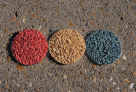 All treated seed, including that treated with neonicotincids, are colorized. The colorizing scheme helps identity treated from non-treated seeds and what treatment has been used.