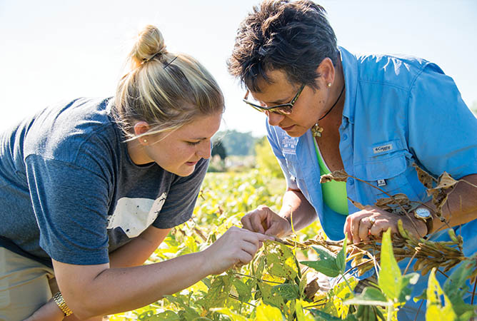 Dr. Maria Tomaso-Peterson (right) and graduate student Nicole Brochard examine soybeans at the R.R. Foil Plant Science Research Center on the Mississippi State University campus. Photo by David Ammon