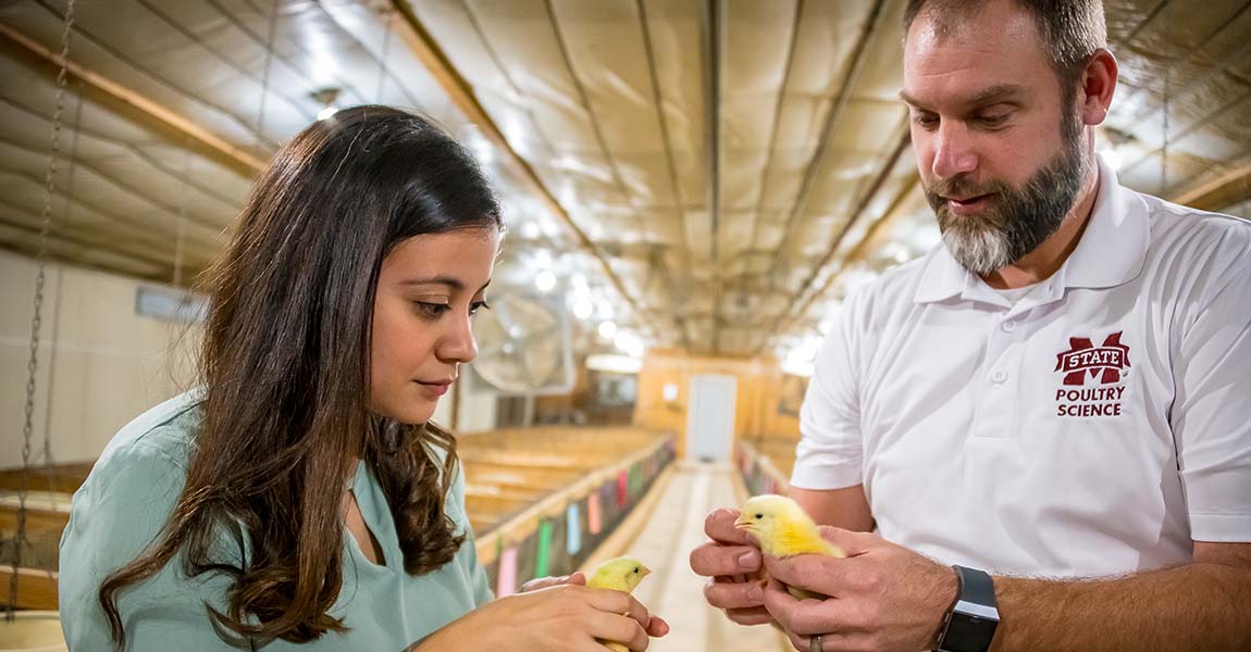 Unlocking a path to probiotics in poultry
