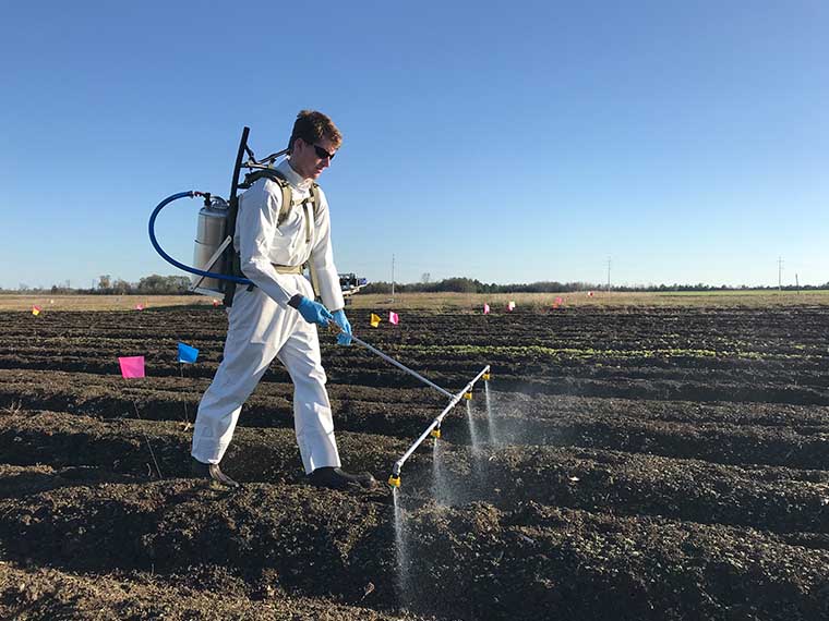 <span>Corn vs. Glyphosate-Resistant Italian Ryegrass:</span> Who will throw in the towel? - Winter 2018