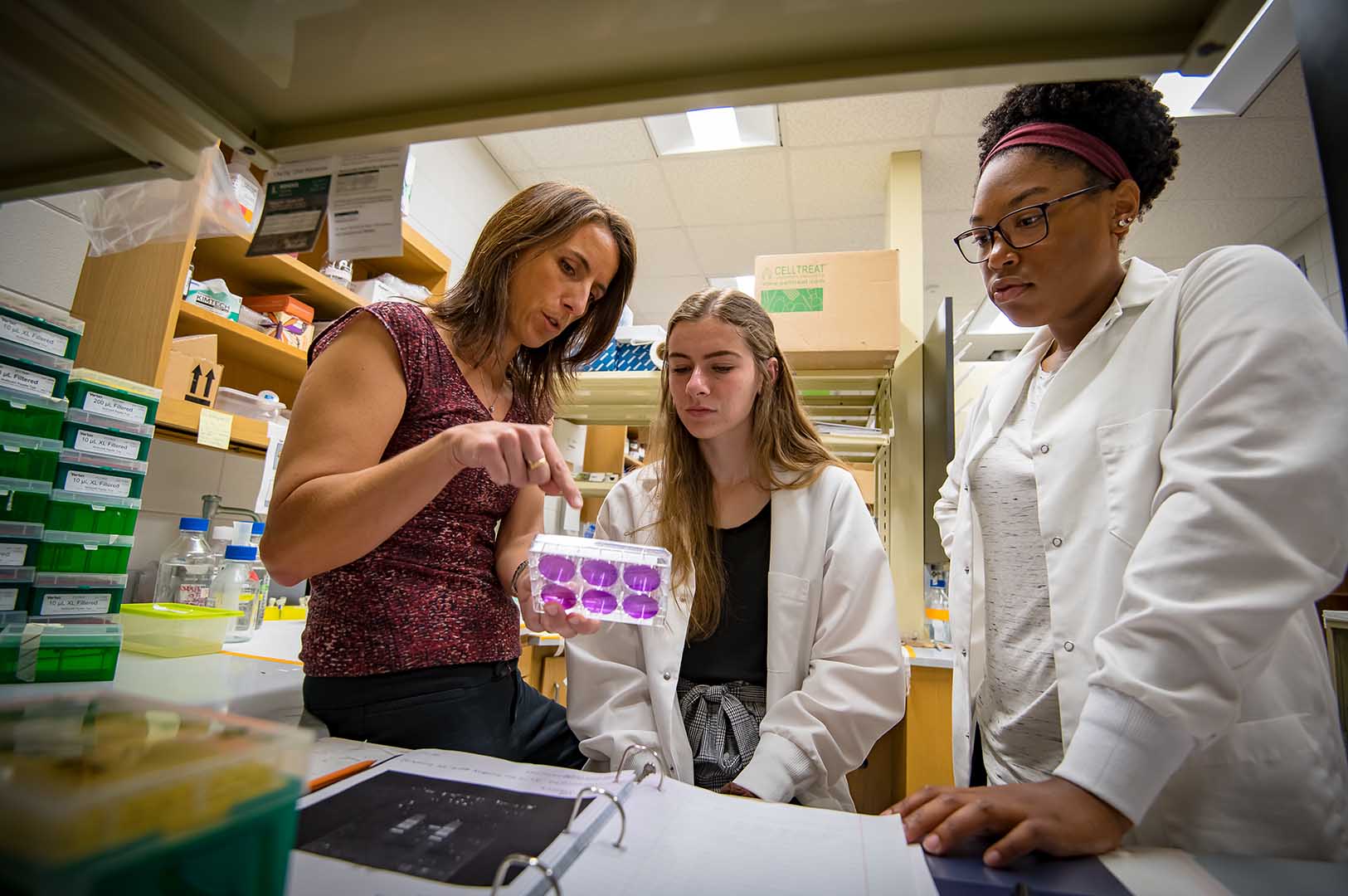 Dr. Florencia Meyer alongside Katie Shearer, senior biochemistry major, and Hannah Bostick, junior biochemistry major, in the lab that hopes to unlock secrets about the BoHV-1 virus, a major contributor of BRD. (Photo by David Ammon)