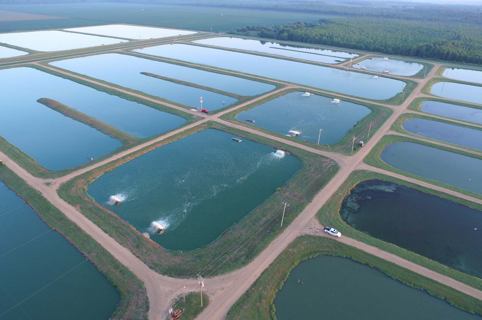 Split-pond technology compartmentalized traditional open ponds into a smaller fish-rearing basin occupying about 20 percent of the pond and a larger waste-treatment basin occupying the remaining 80 percent.