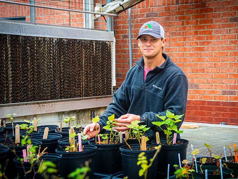 Suppressing Weeds <span>Naturally</span> - Winter 2019