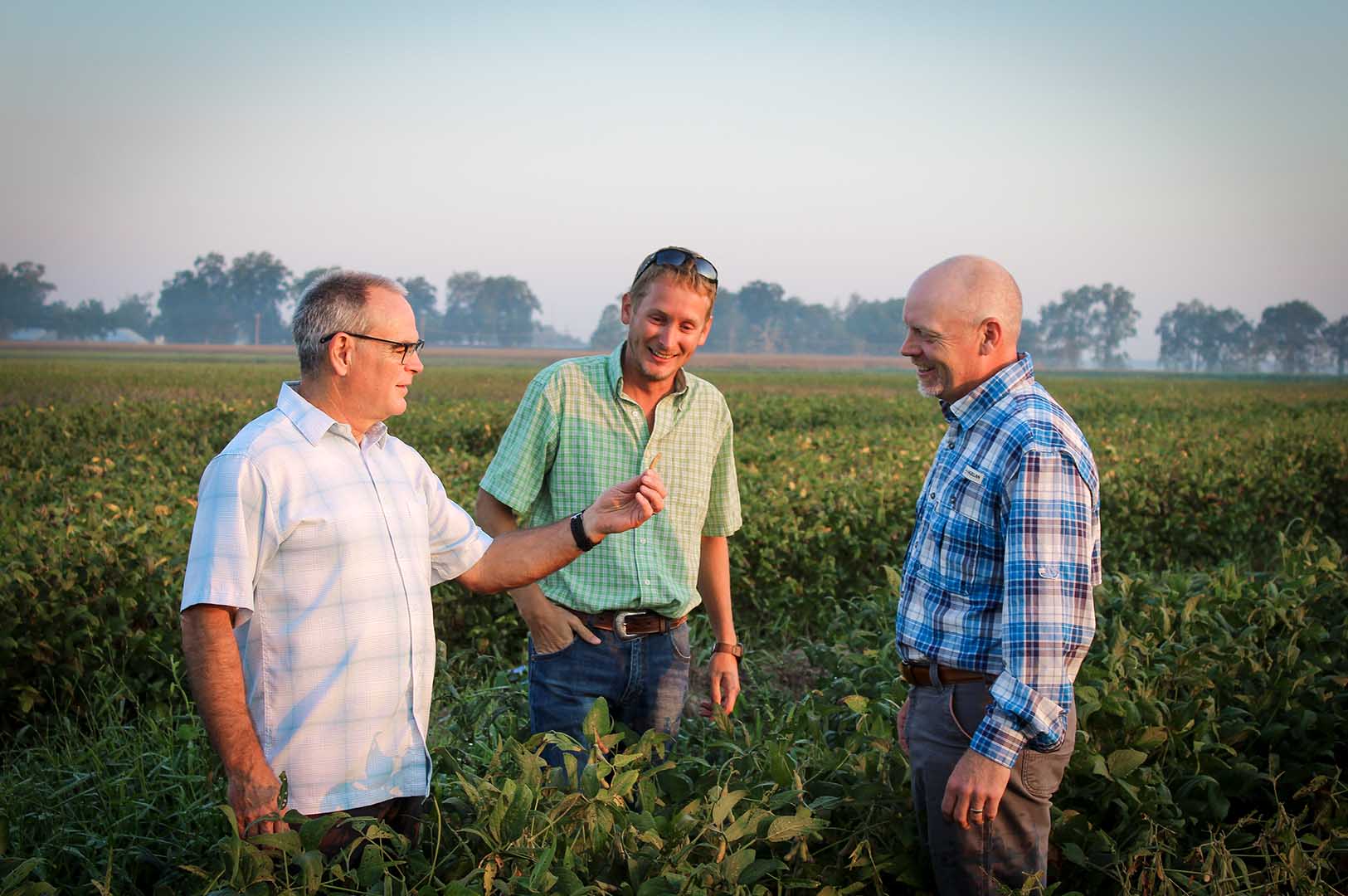 Dr. Martin Locke, doctoral candidate Corey Bryant, and Dr. Jason Krutz, pictured here in one of the soybean plots, seek to answer both agronomic and economic questions when it comes to conservation systems that include reduced tillage and cover crops. (Photo by Kenner Patton)