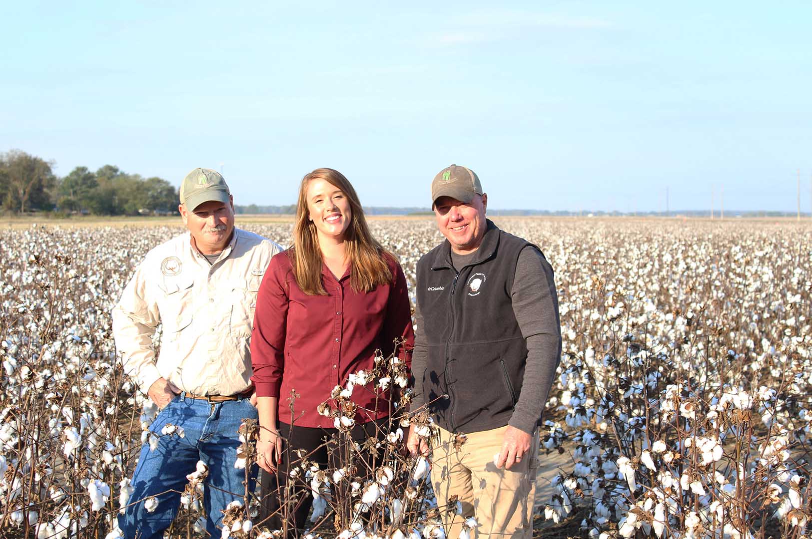 Drs. Don Cook, Whitney Crow, and Jeff Gore seek to better understand insect pressure in cover crops. (Photo by Kenner Patton)