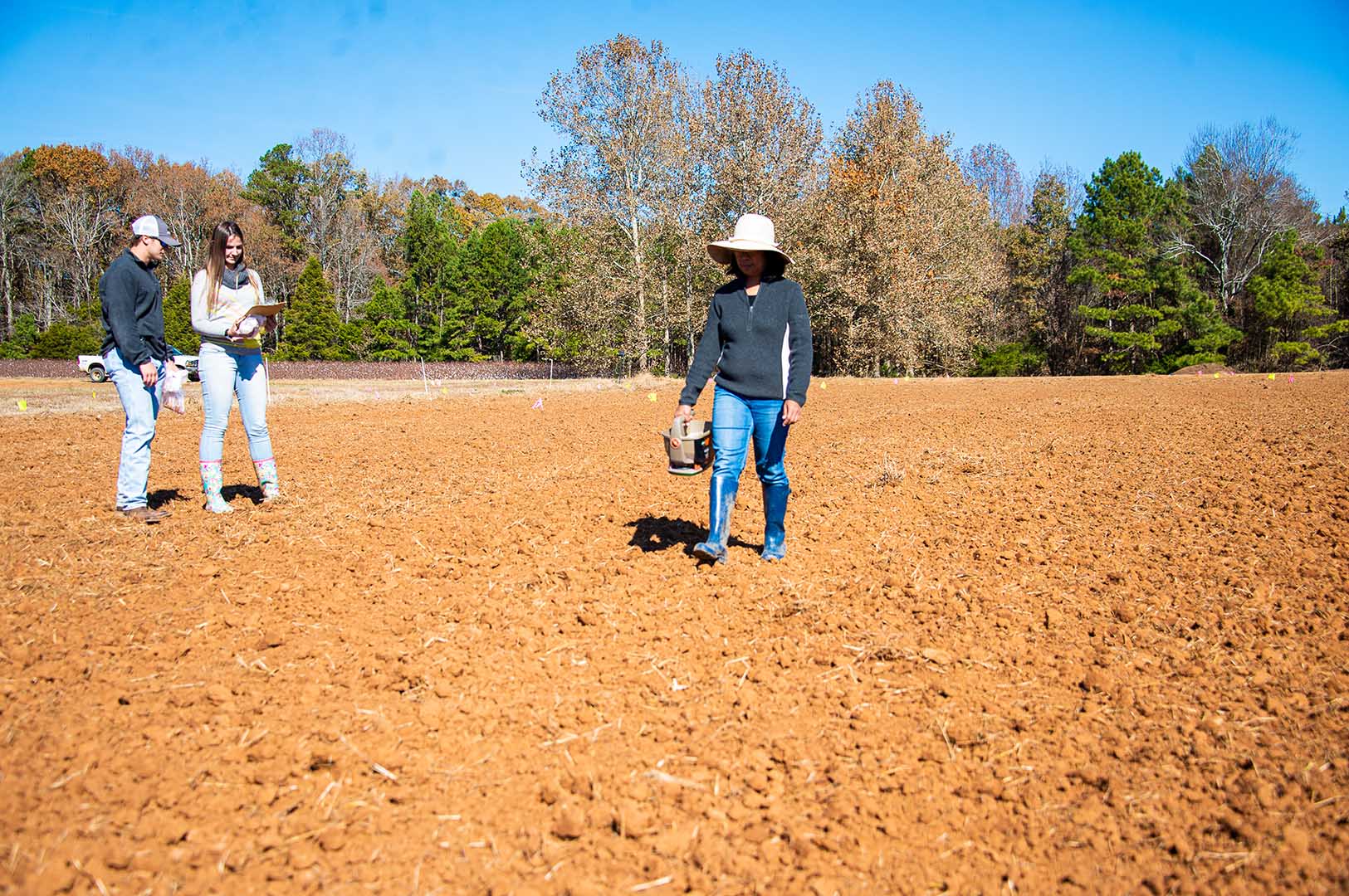 Undergraduate student Andrew Nuss, Brazilian exchange student Isabel Werle, and Ph.D. student Loida Perez plant cover crops at the Pontotoc Ridge-Flatwoods Branch Experiment Station. In the spring, the cover crops will be terminated and sweet potatoes will be planted. Researchers hope to determine which sweet potato cultivars and which cover crops can symbiotically better fight problematic weeds. (Photo by Dominique Belcher)