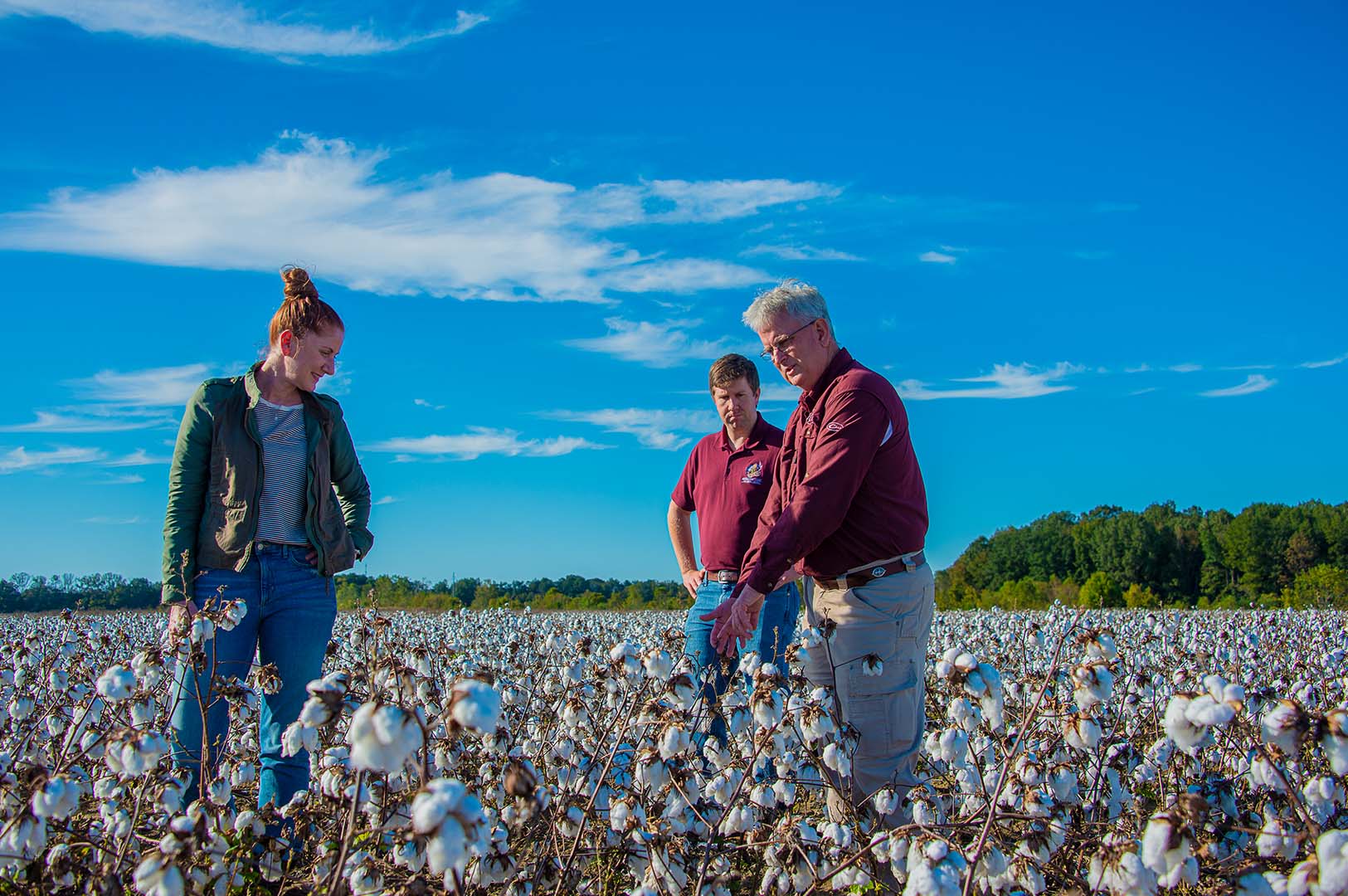Drs. Ashli Brown, Connor Ferguson, and Daniel Reynolds look over a cotton field at the MAFES R. R. Foil Plant Science Research Center. (Photo by Dominique Belcher)
