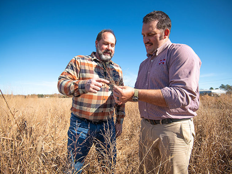 'Robusto' Covers Ground