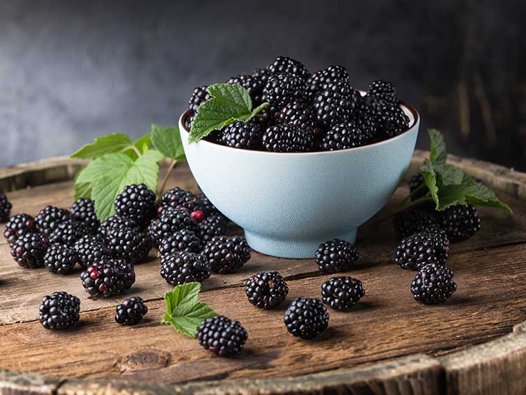 Developing sweeter solutions to blackberry disorders - Winter 2022