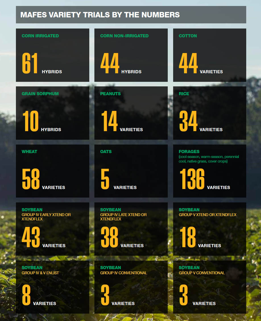 MAFES Variety Trials By The Numbers