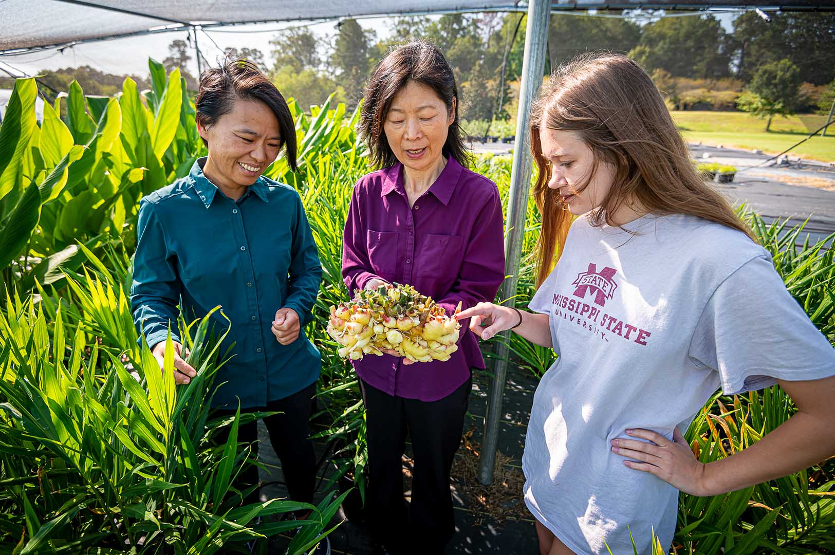 Tongyin Li, Guihong Bi, and  Sage Smith look over some of the harvest of fresh herbs at the MAFES R. R. Foil Plant Science Research Center. (Photo by David Ammon)