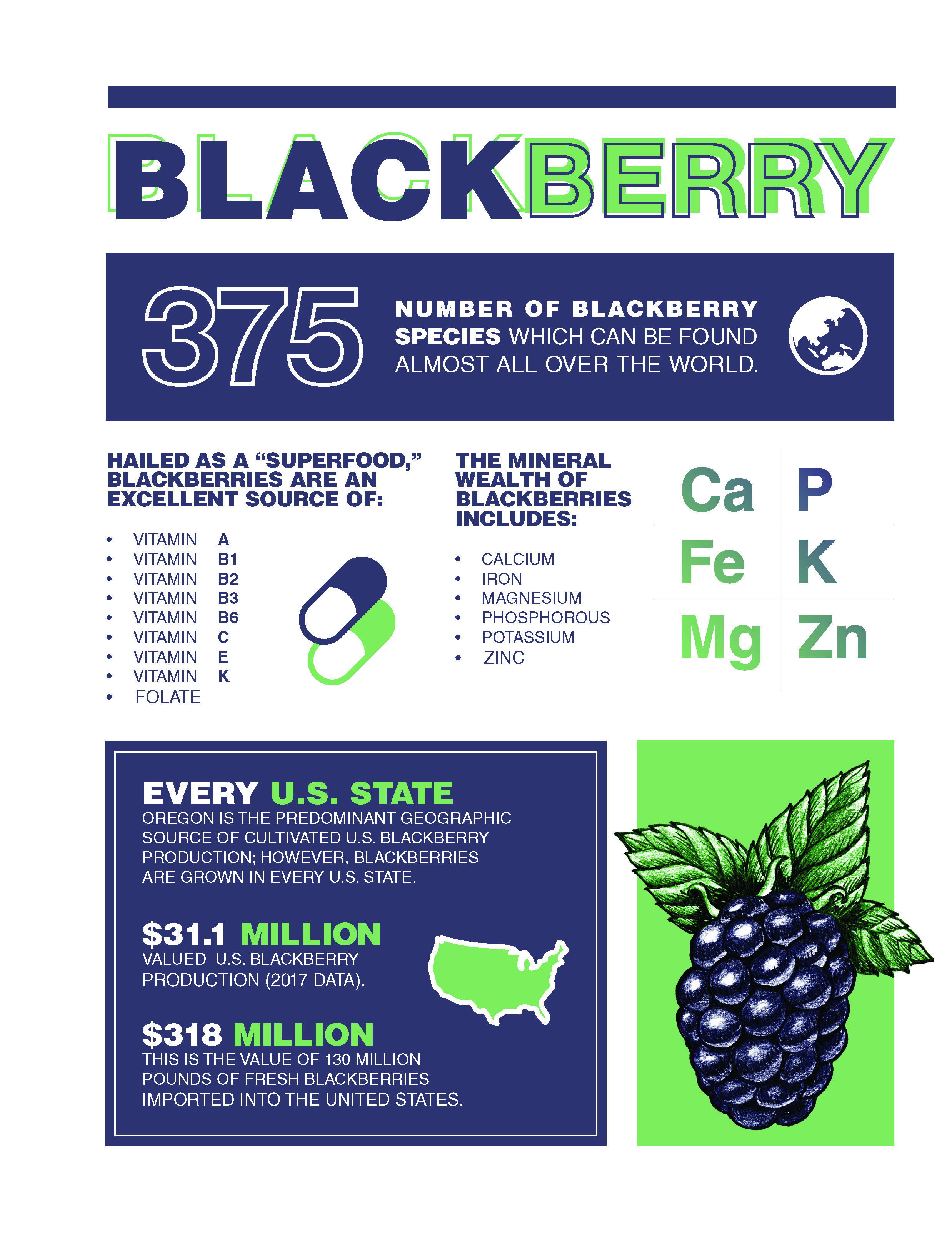 SOURCES: <a href="https://justfunfacts.com/interesting-facts-about-blackberries/" target="_blank">https://justfunfacts.com/interesting-facts-about-blackberries/</a> -- <a href="https://www.agmrc.org/commodities-products/fruits/blackberries" target="_blank">https://www.agmrc.org/commodities-products/fruits/blackberries</a>