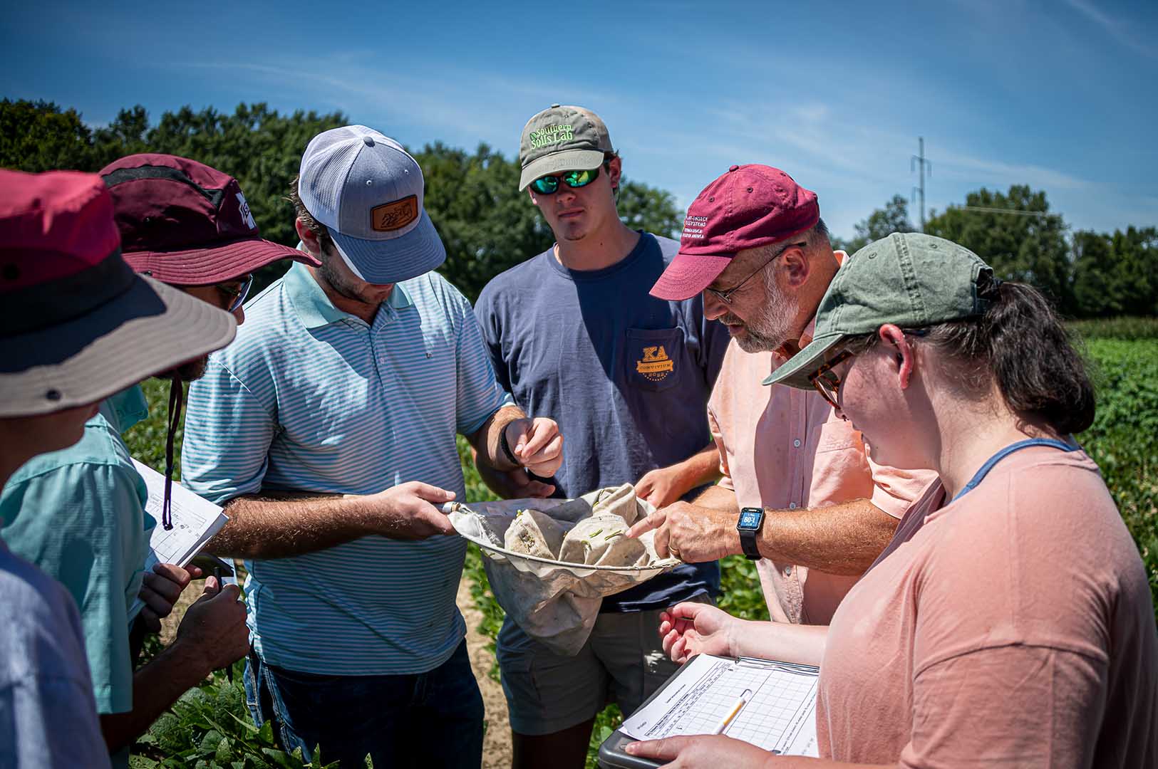 Dr. Fred Musser identifies some of the insects caught in a sweep net to his Field Crops Insect class at the MAFES R. R. Foil Plant Science Research Center. (Photo by David Ammon)