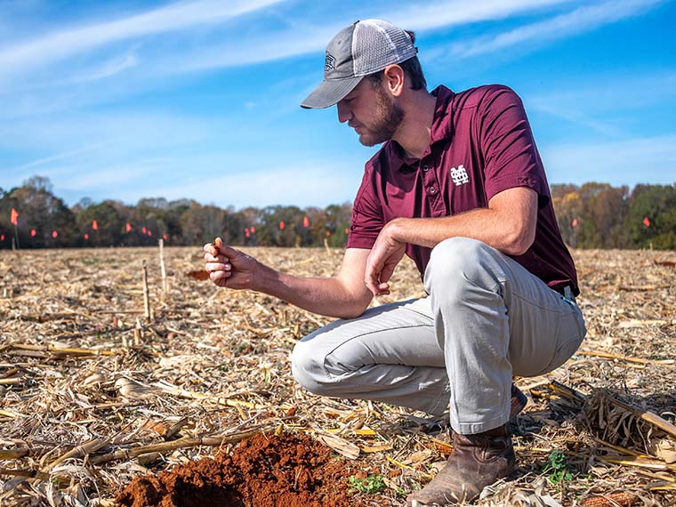 Adapting Cover Crop in Corn for the Southern Climate
