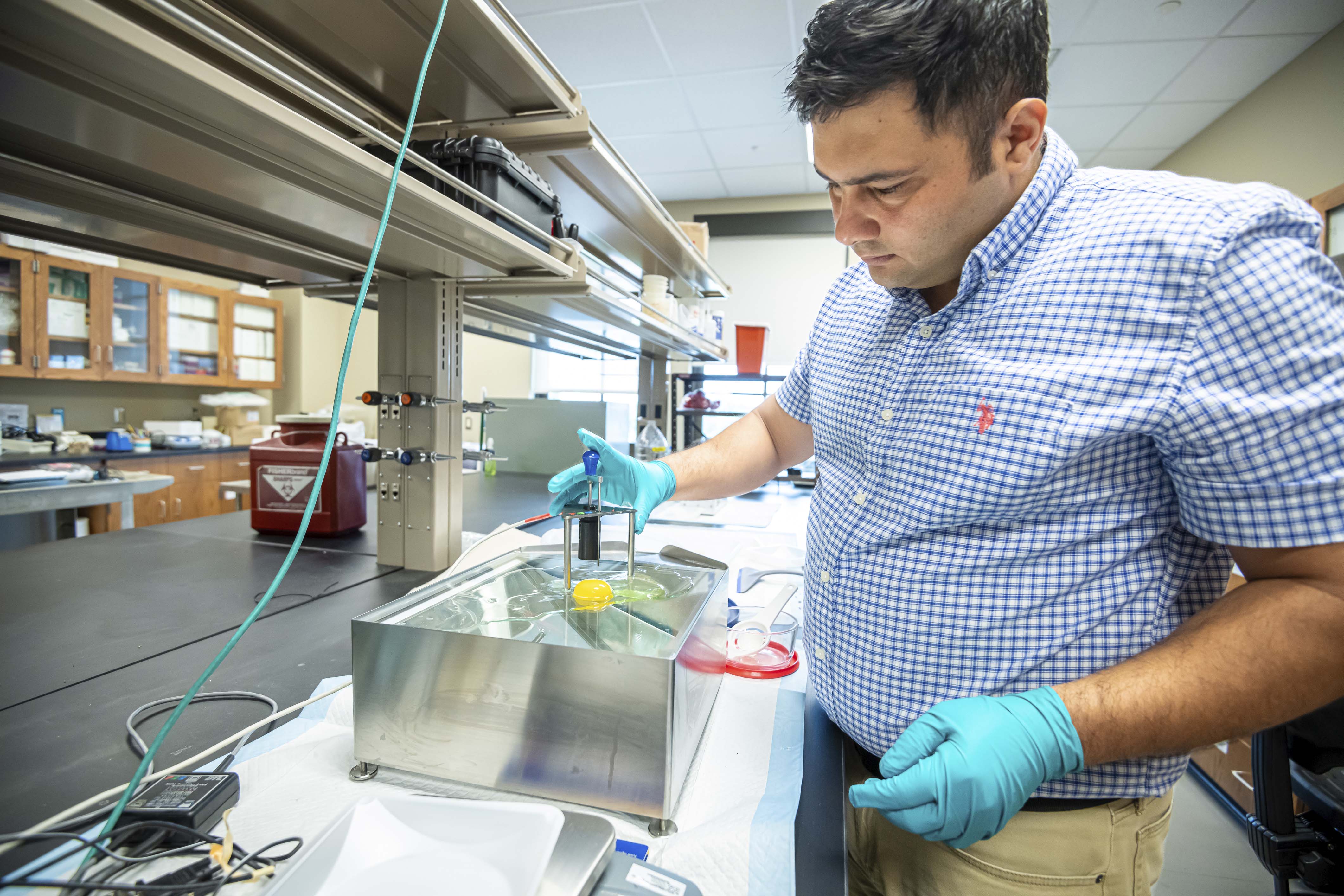 Dr. Ishab Poudel tests eggs in the laboratory. (Photo by David Ammon) 