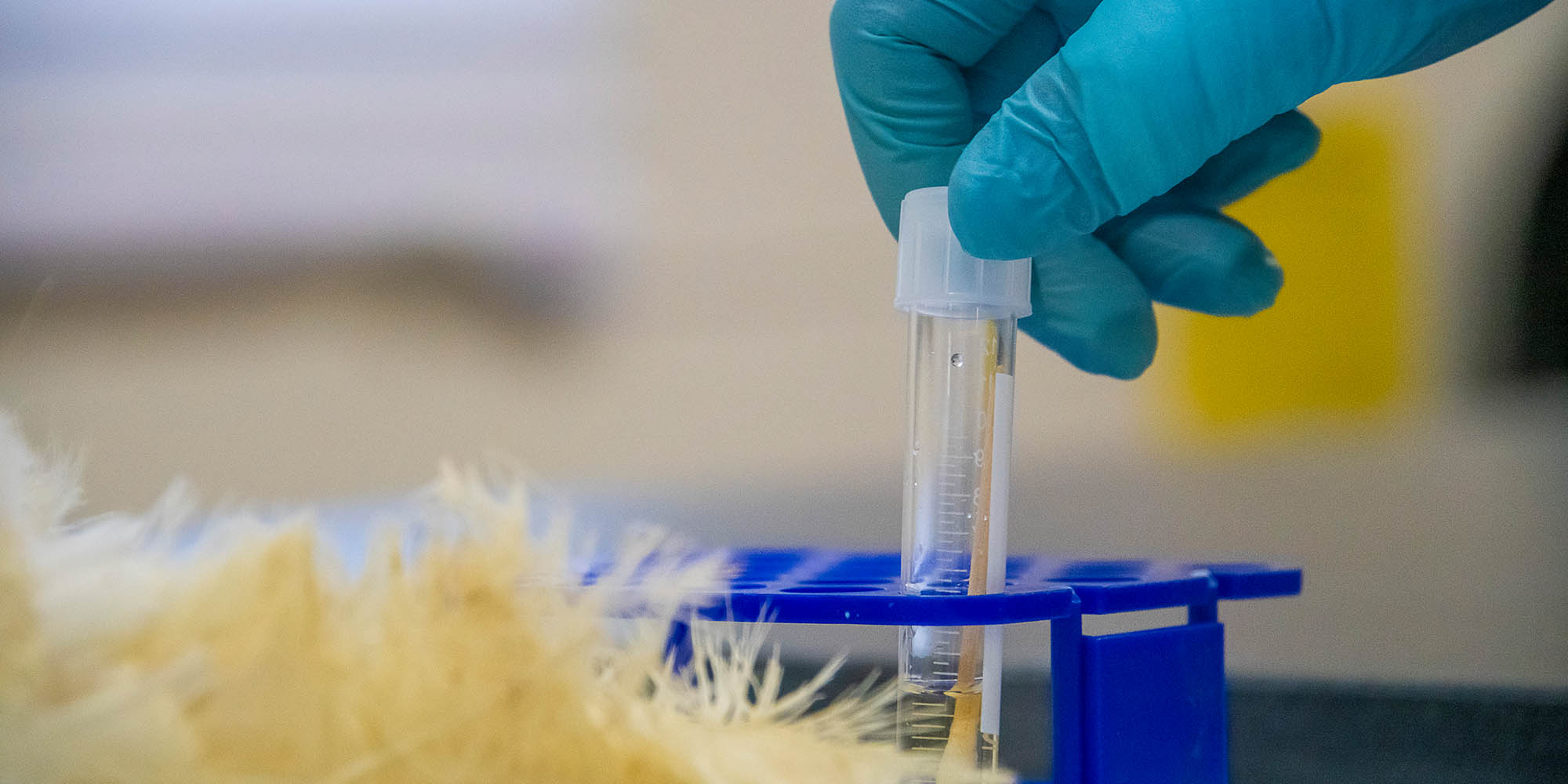 Billion-Dollar Bacteria Breakthrough